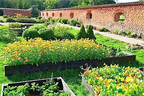 Klostergarten mit Heilpflanzen