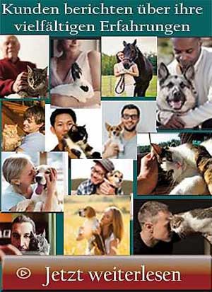 Bildcollage mit Vitalimun Kunden und ihren Haustieren