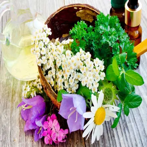Heilpflanzen liefern natürliche Vitalstoffe.