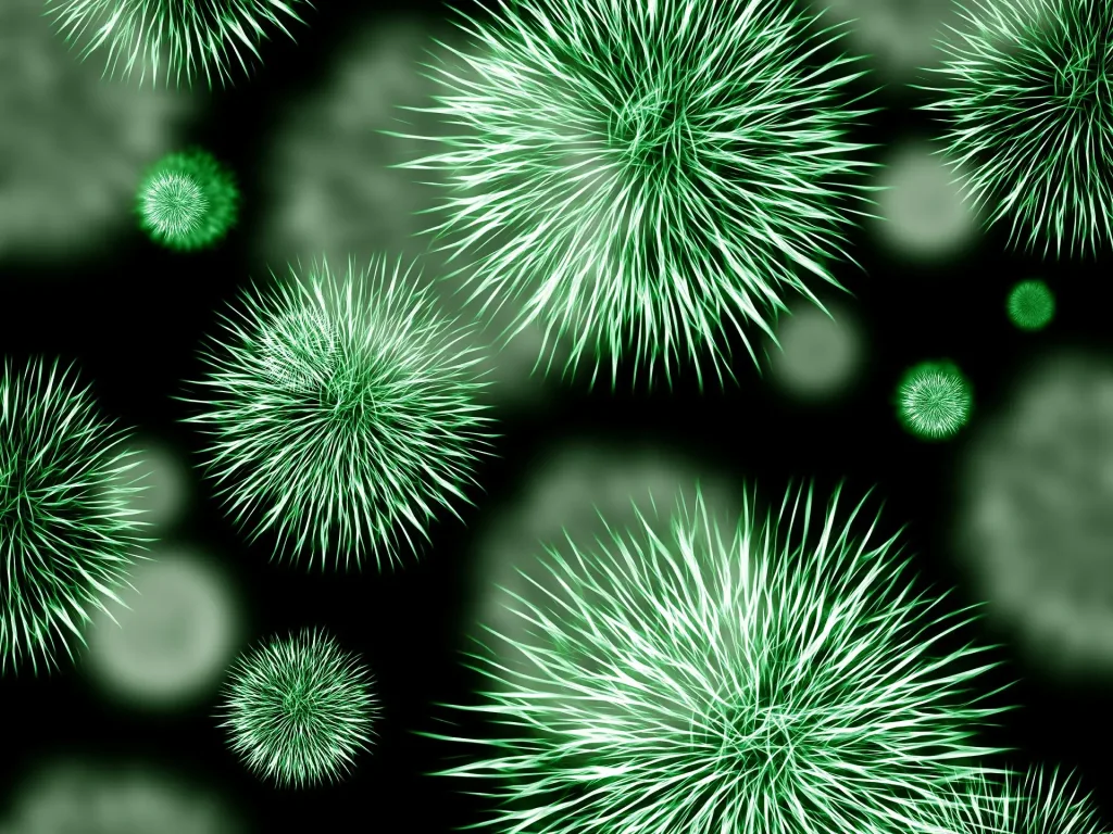 Ein optimales Mikrobiom schützt vor vielen Problemen