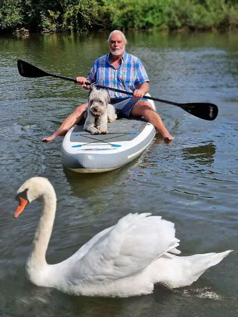 Karl Austermann mit seiner Hündin beobachten einen Schwan.