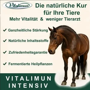 Vitalimun Intensiv Produktbild.
