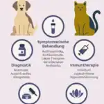 Allergie bei Hund, Katze und Pferd behandeln.