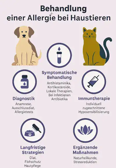 Allergie bei Hund, Katze und Pferd behandeln.