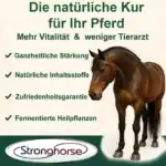Stronghorse Produktbild.