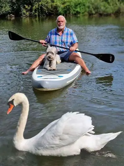 THP Karl Austermann mit seiner Hündin beobachten einen Schwan.