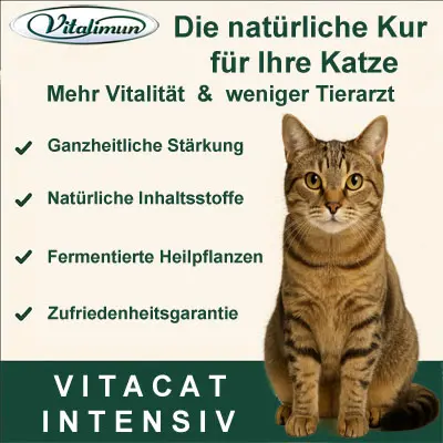 Vitacat Intensiv Plakat.