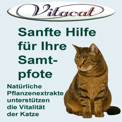Vitacat Senior Plakat.