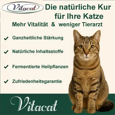Vitacat Beschreibung