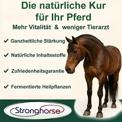 Stronghorse Plakat wirbt für natürliche Vitalstoffe für Pferde.