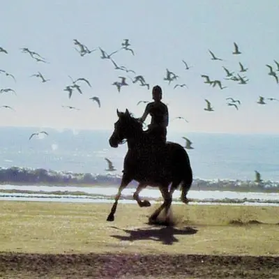 Reiterin am Strand geniest nach einer Stronghorse Kur die Vitalität ihres Pferdes.