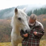 Lusitano-Stute mit Sommerekzem ist nach der Stronghorse Therapie symptomlos.
