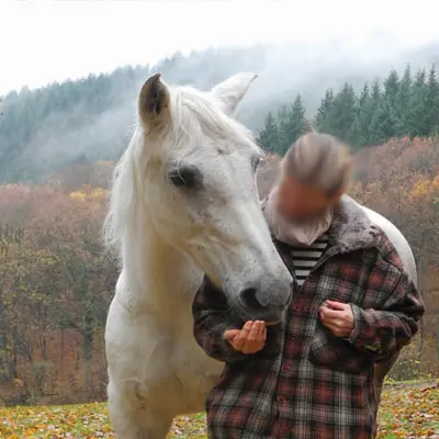 Stronghorse Erfahrungen- Lusitano-Stute mit Sommerekzem ist nach der Stronghorse Therapie symptomlos.