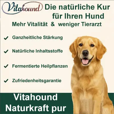 Vitahound  Poster